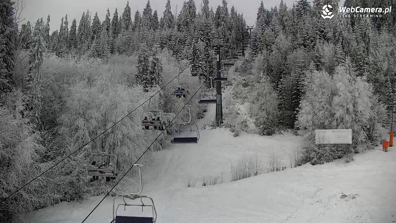 KOTELNICA - Pasieka Express - 01 luty 2026, 11:57