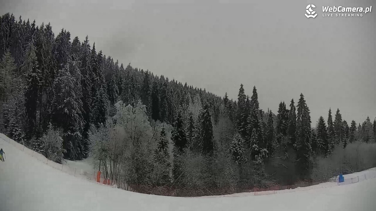 KOTELNICA - Pasieka Express - 01 luty 2026, 14:00