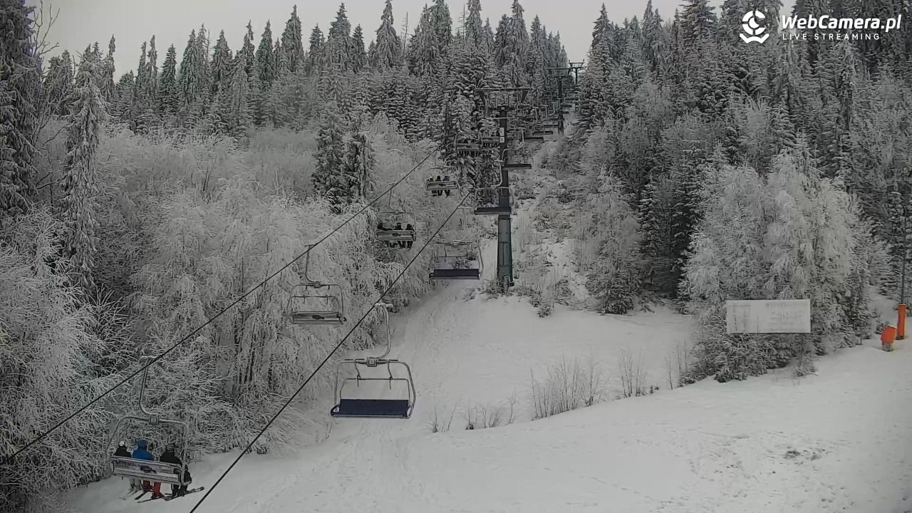 KOTELNICA - Pasieka Express - 01 luty 2026, 12:42