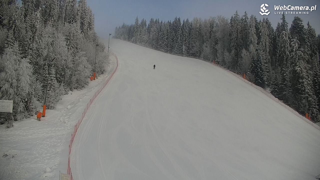 KOTELNICA - Pasieka Express - 01 luty 2026, 09:24