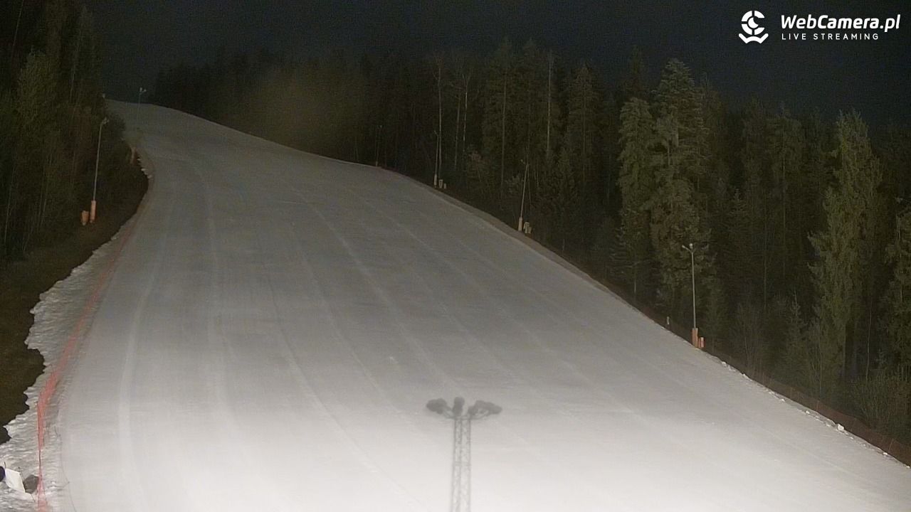 KOTELNICA - Pasieka Express - 20 marzec 2026, 22:10