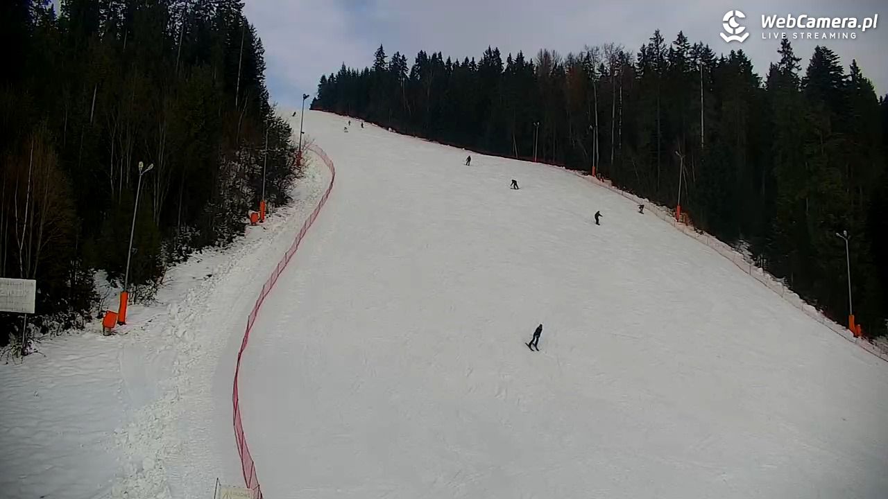 KOTELNICA - Pasieka Express - 07 grudzień 2025, 10:44