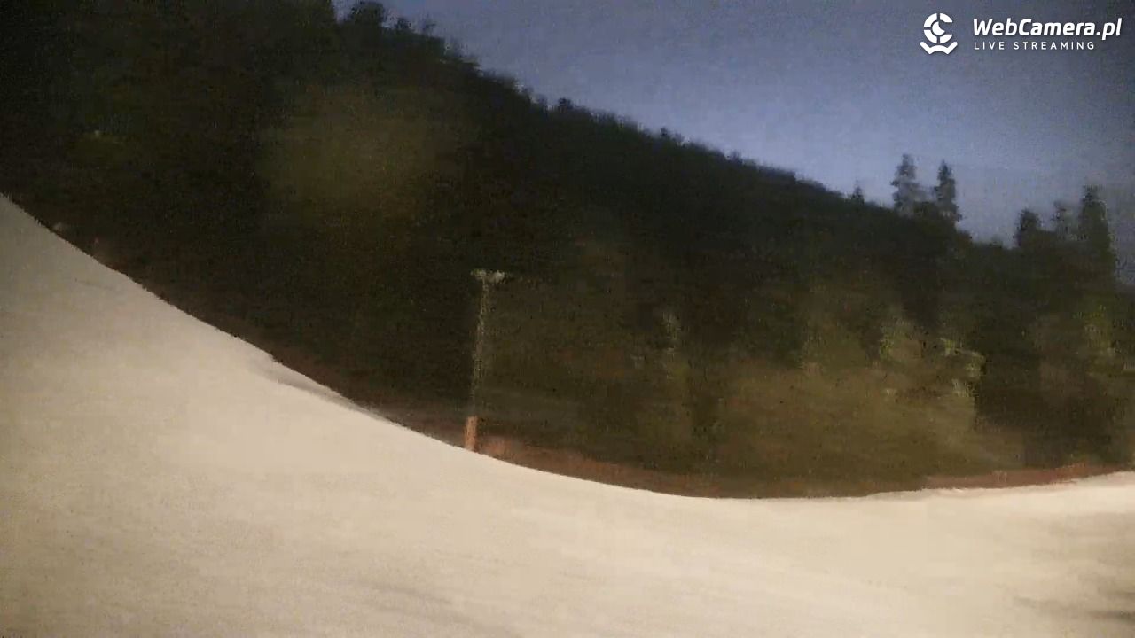 KOTELNICA - Pasieka Express - 17 marzec 2026, 19:36