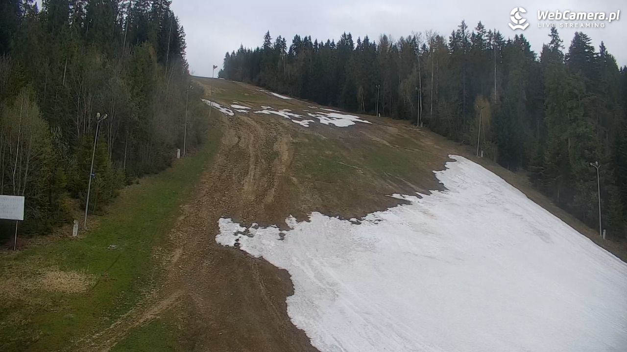 KOTELNICA - Pasieka Express - 01 maj 2026, 07:39