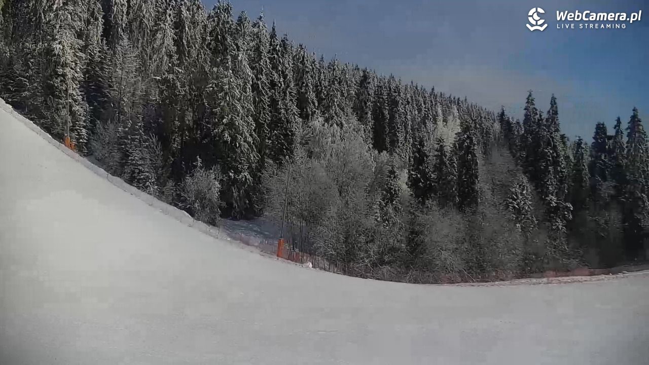 KOTELNICA - Pasieka Express - 01 luty 2026, 10:16