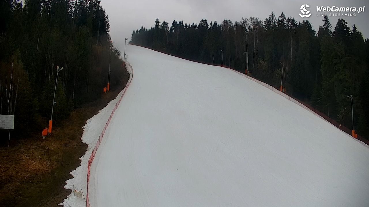 KOTELNICA - Pasieka Express - 17 marzec 2026, 12:39
