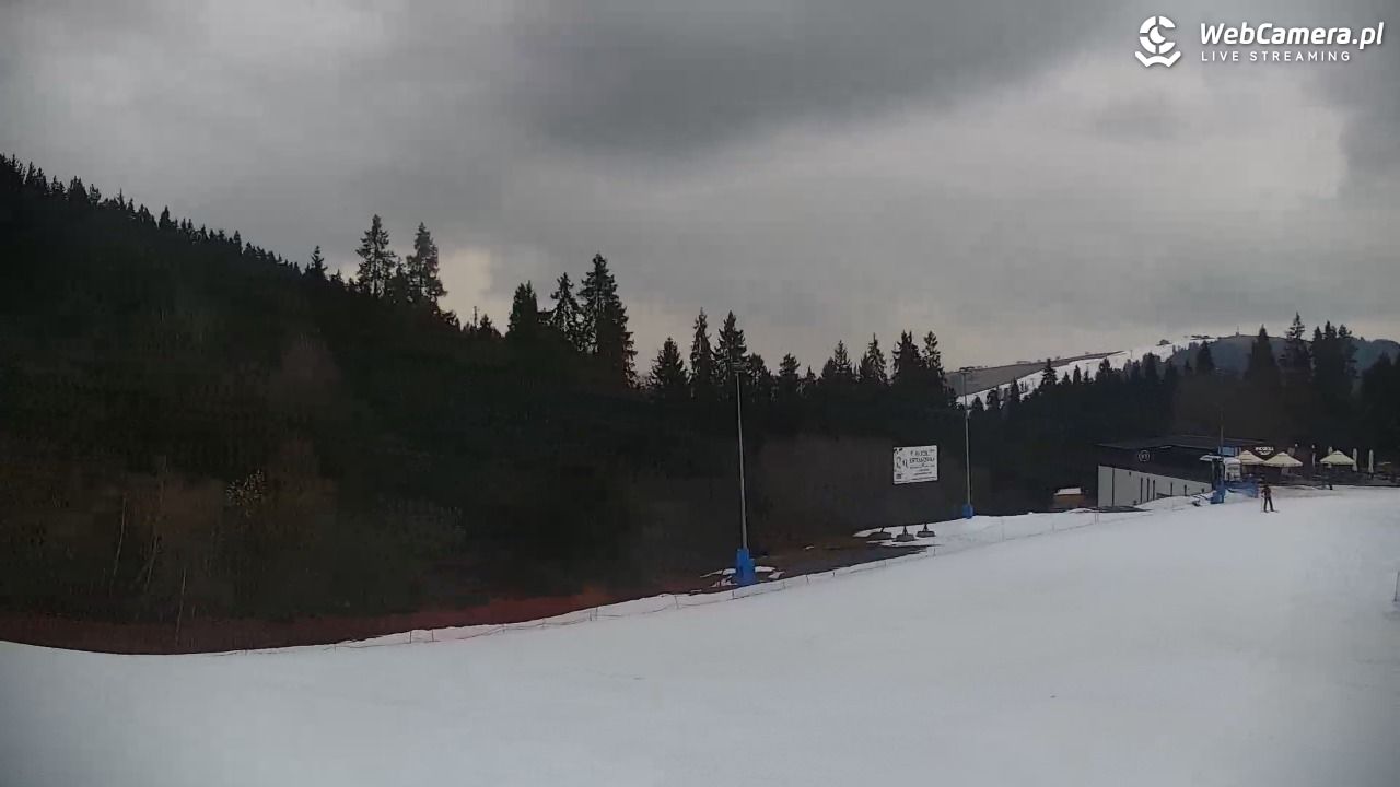 KOTELNICA - Pasieka Express - 17 marzec 2026, 11:06