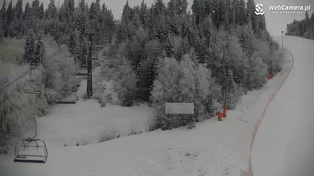 KOTELNICA - Pasieka Express - 02 luty 2026, 08:06