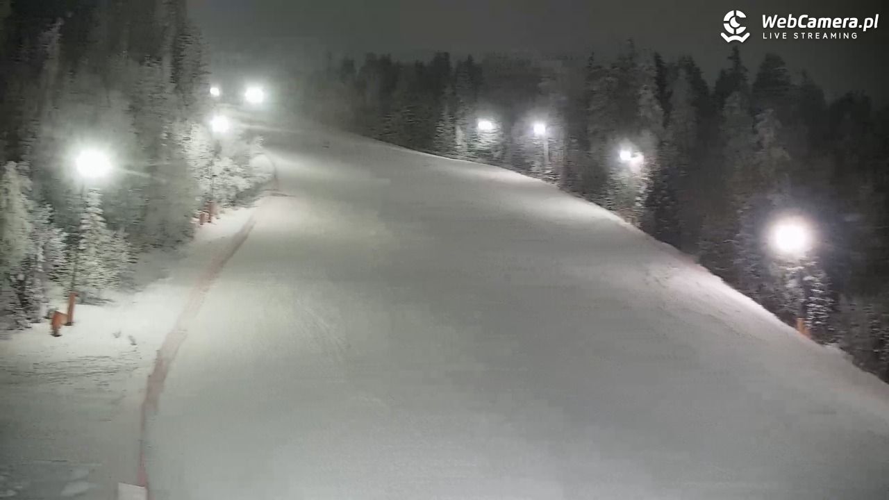 KOTELNICA - Pasieka Express - 01 luty 2026, 19:45