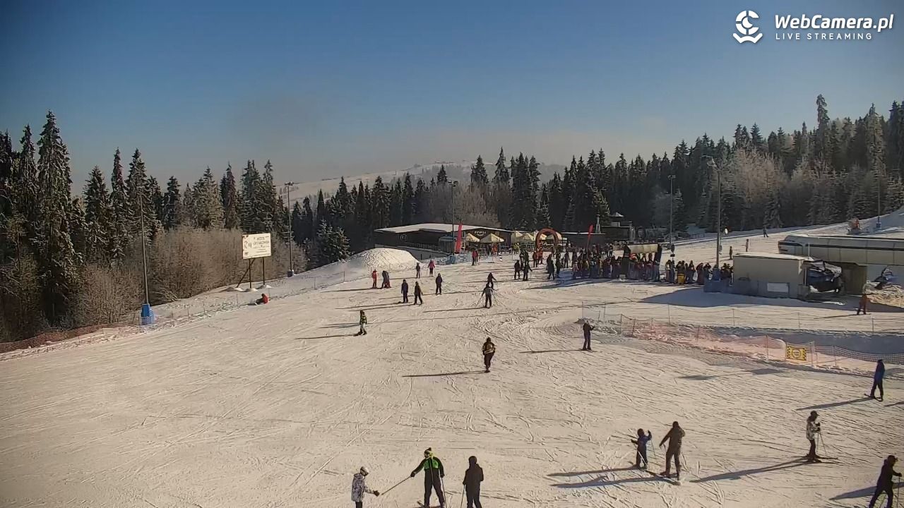 KOTELNICA - Pasieka Express - 01 luty 2026, 10:55