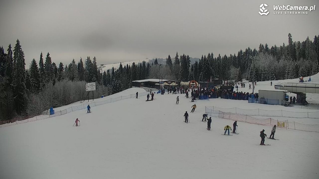 KOTELNICA - Pasieka Express - 02 luty 2026, 12:12