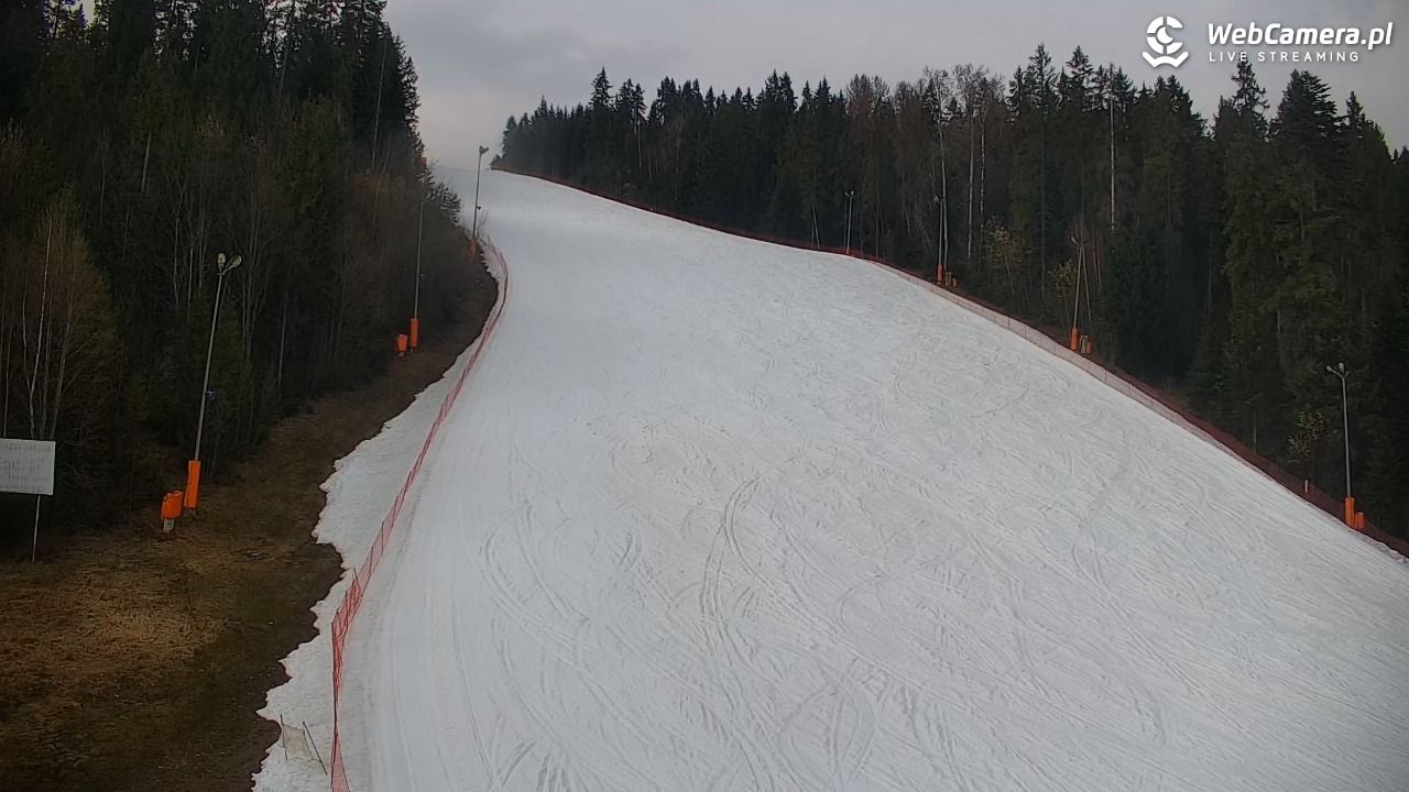 KOTELNICA - Pasieka Express - 20 marzec 2026, 15:32