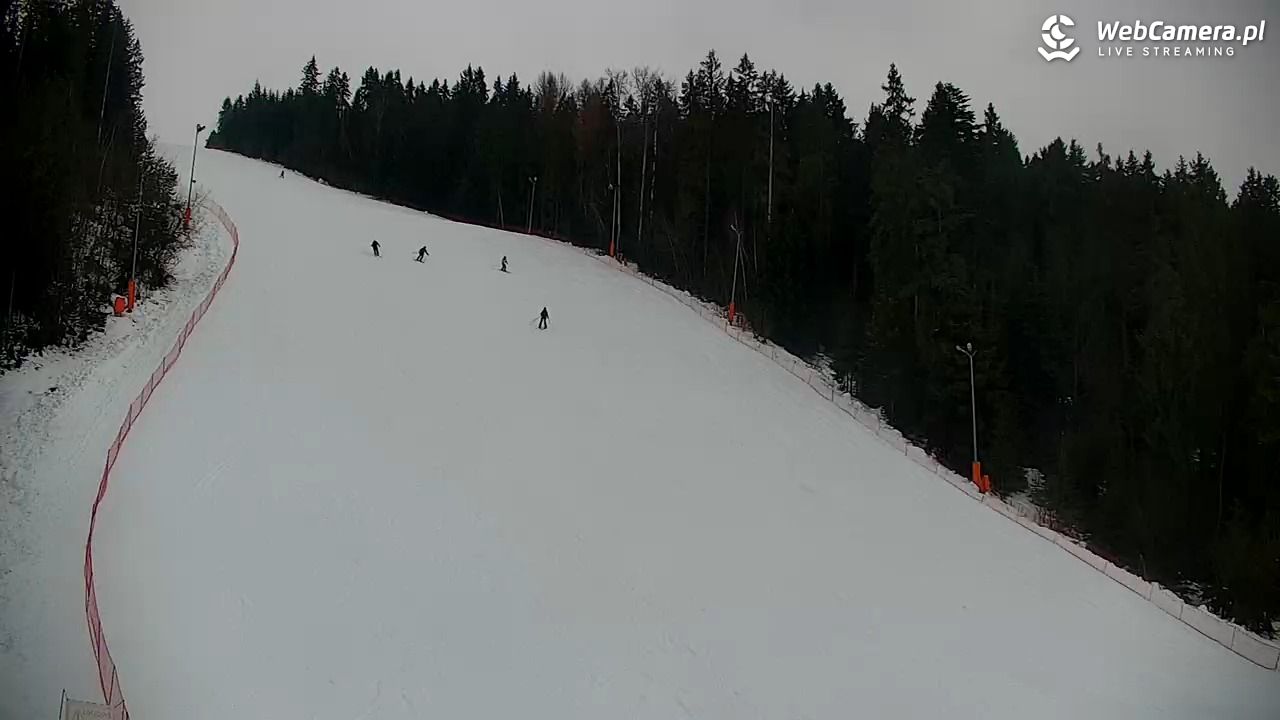 KOTELNICA - Pasieka Express - 07 grudzień 2025, 10:17