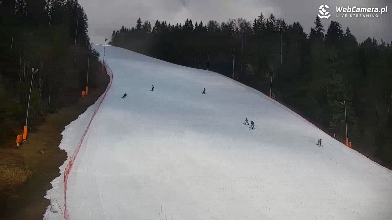 KOTELNICA - Pasieka Express - 21 marzec 2026, 10:09