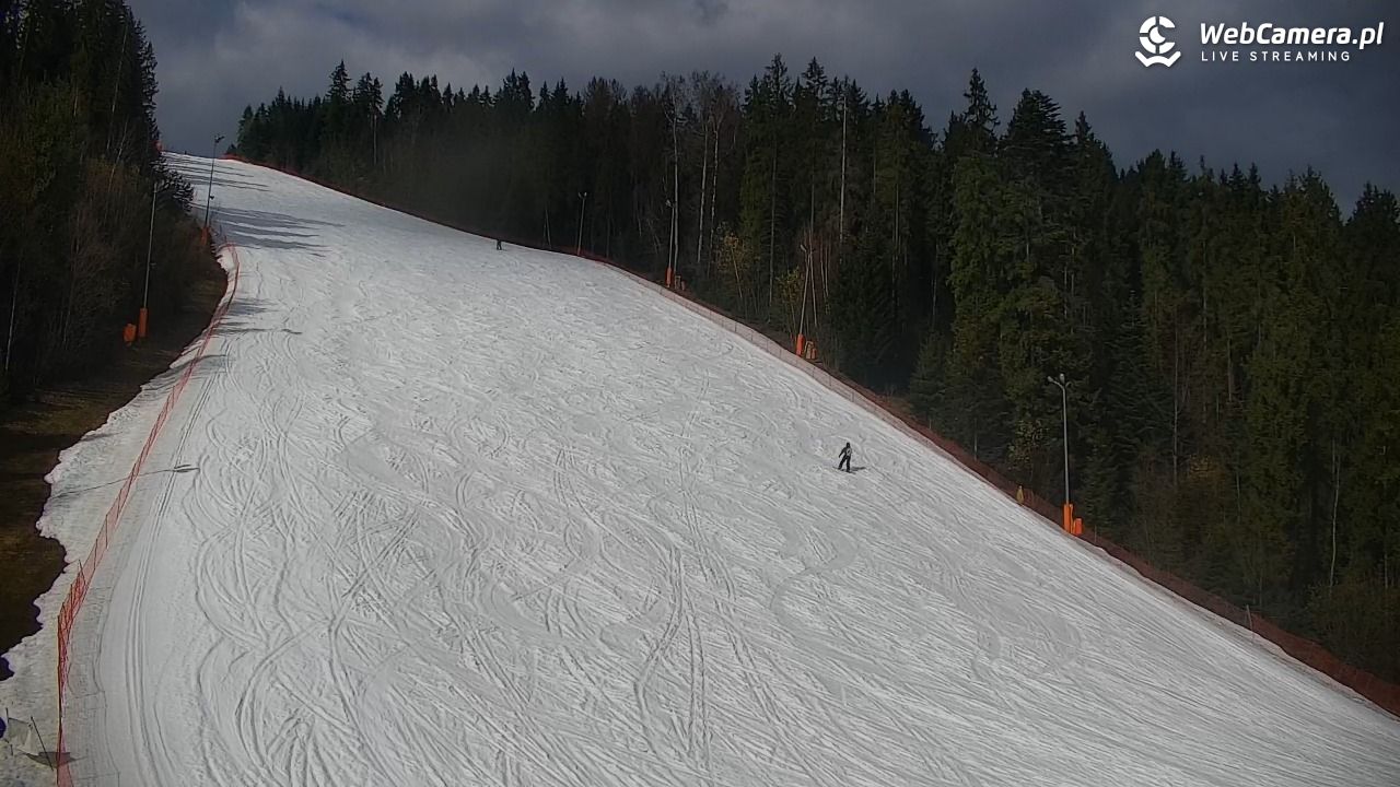 KOTELNICA - Pasieka Express - 19 marzec 2026, 13:37