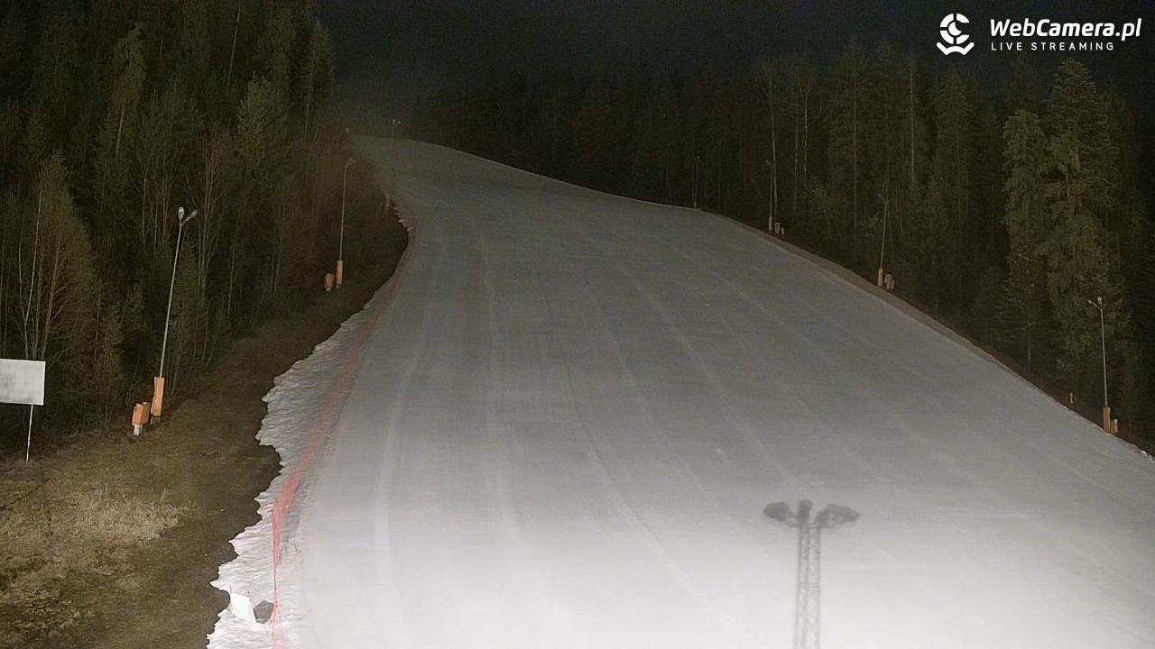 KOTELNICA - Pasieka Express - 20 marzec 2026, 21:41