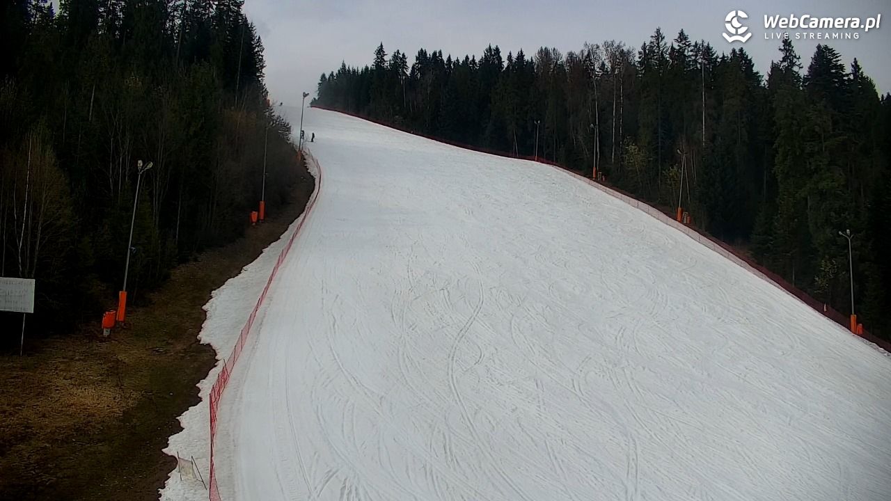 KOTELNICA - Pasieka Express - 20 marzec 2026, 14:41