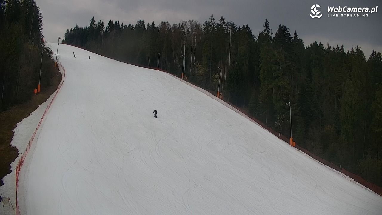 KOTELNICA - Pasieka Express - 20 marzec 2026, 13:14