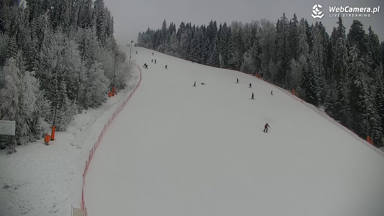 KOTELNICA - Pasieka Express - 02 luty 2026, 10:33