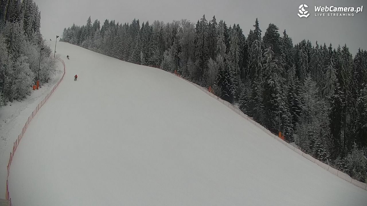 KOTELNICA - Pasieka Express - 02 luty 2026, 09:37