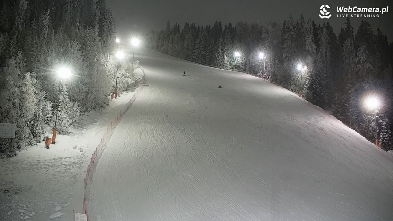 KOTELNICA - Pasieka Express - 01 luty 2026, 19:05