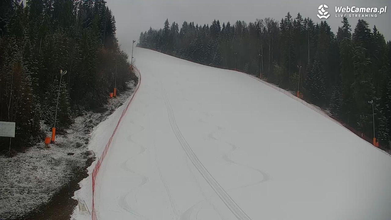 KOTELNICA - Pasieka Express - 21 marzec 2026, 07:37