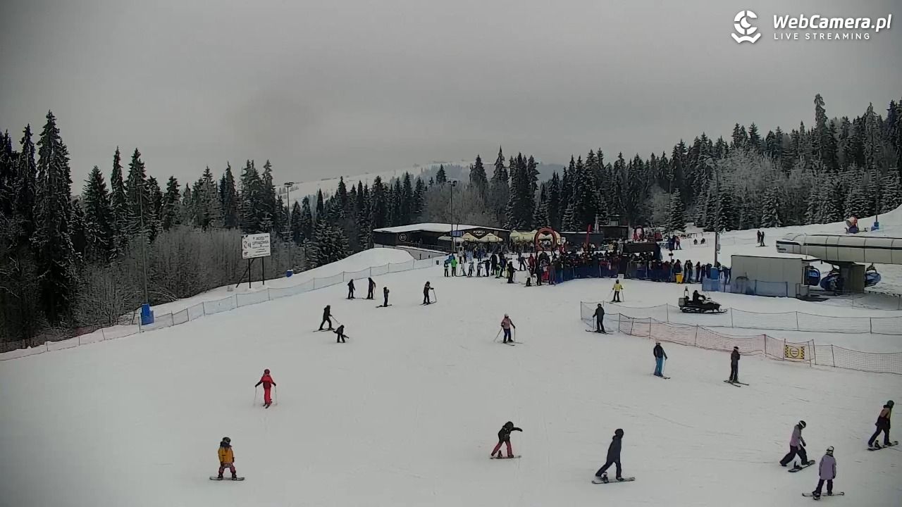 KOTELNICA - Pasieka Express - 01 luty 2026, 13:03