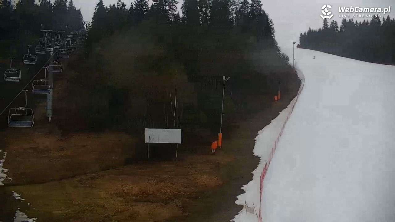 KOTELNICA - Pasieka Express - 17 marzec 2026, 13:35