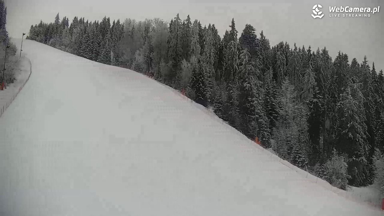 KOTELNICA - Pasieka Express - 02 luty 2026, 08:42