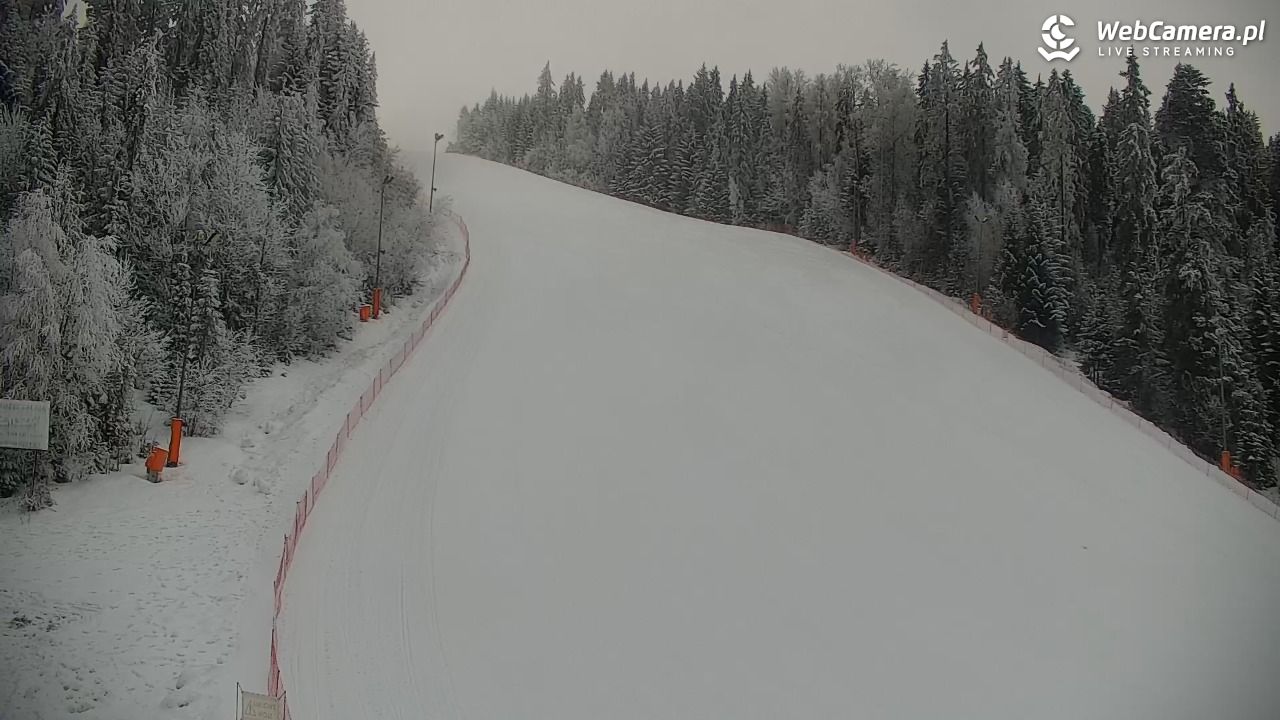 KOTELNICA - Pasieka Express - 02 luty 2026, 09:10