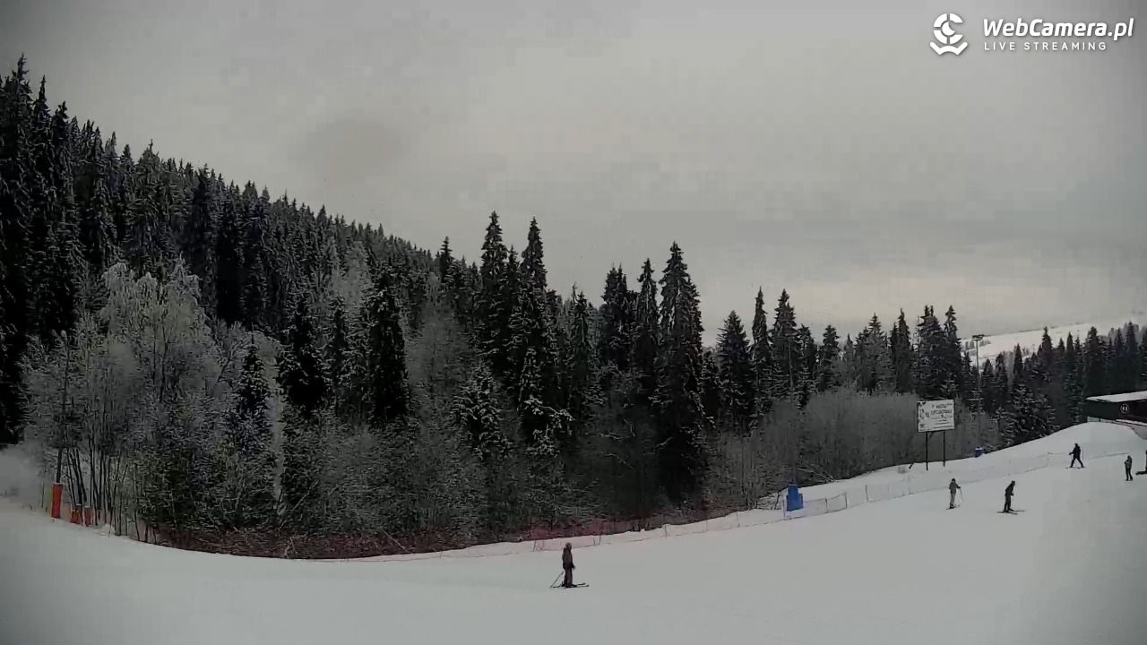 KOTELNICA - Pasieka Express - 02 luty 2026, 12:07