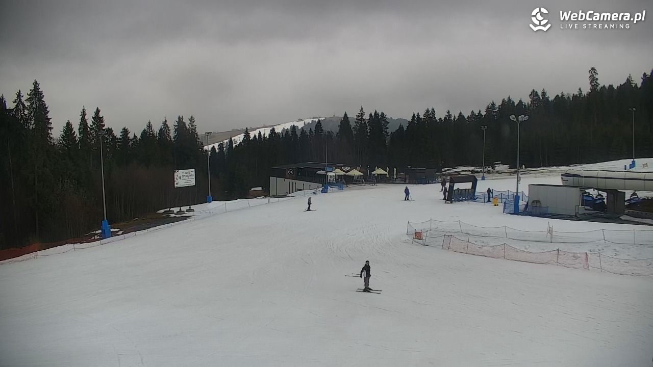 KOTELNICA - Pasieka Express - 17 marzec 2026, 13:58