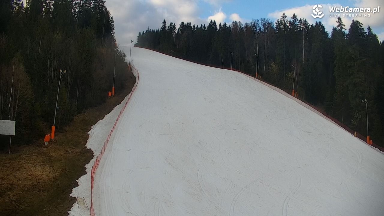 KOTELNICA - Pasieka Express - 19 marzec 2026, 16:33