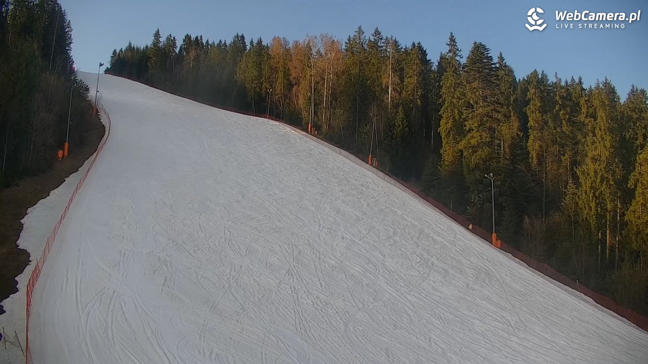 KOTELNICA - Pasieka Express - 18 marzec 2026, 16:21