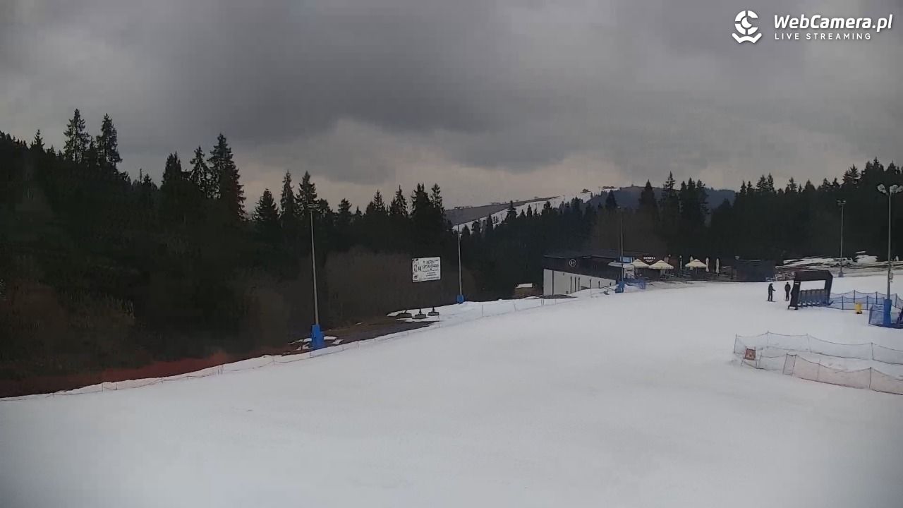 KOTELNICA - Pasieka Express - 17 marzec 2026, 10:22