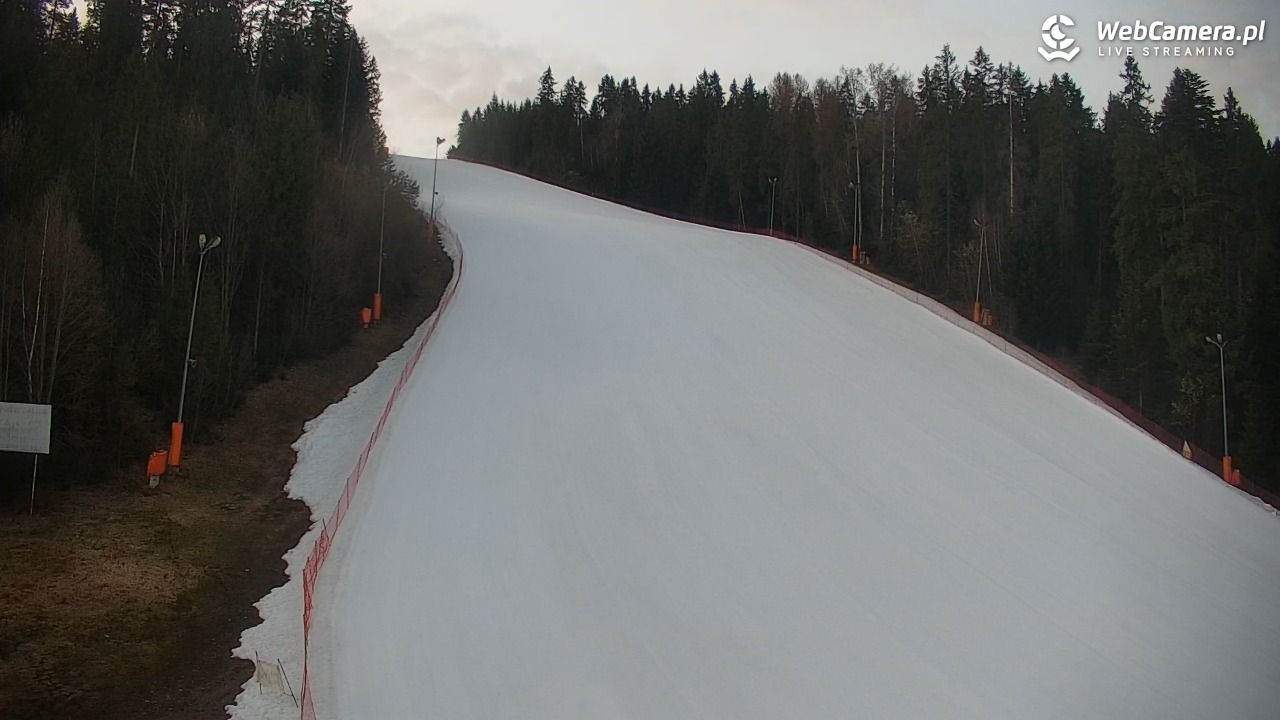 KOTELNICA - Pasieka Express - 19 marzec 2026, 18:08
