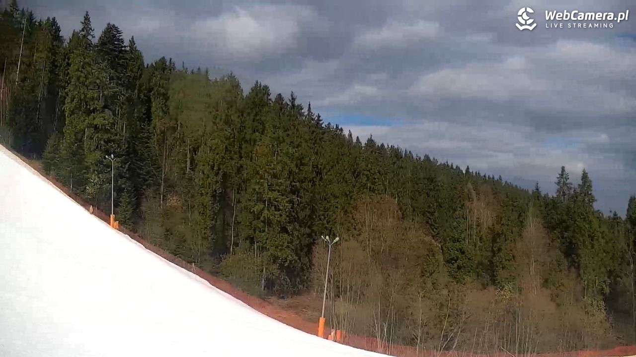 KOTELNICA - Pasieka Express - 19 marzec 2026, 13:48