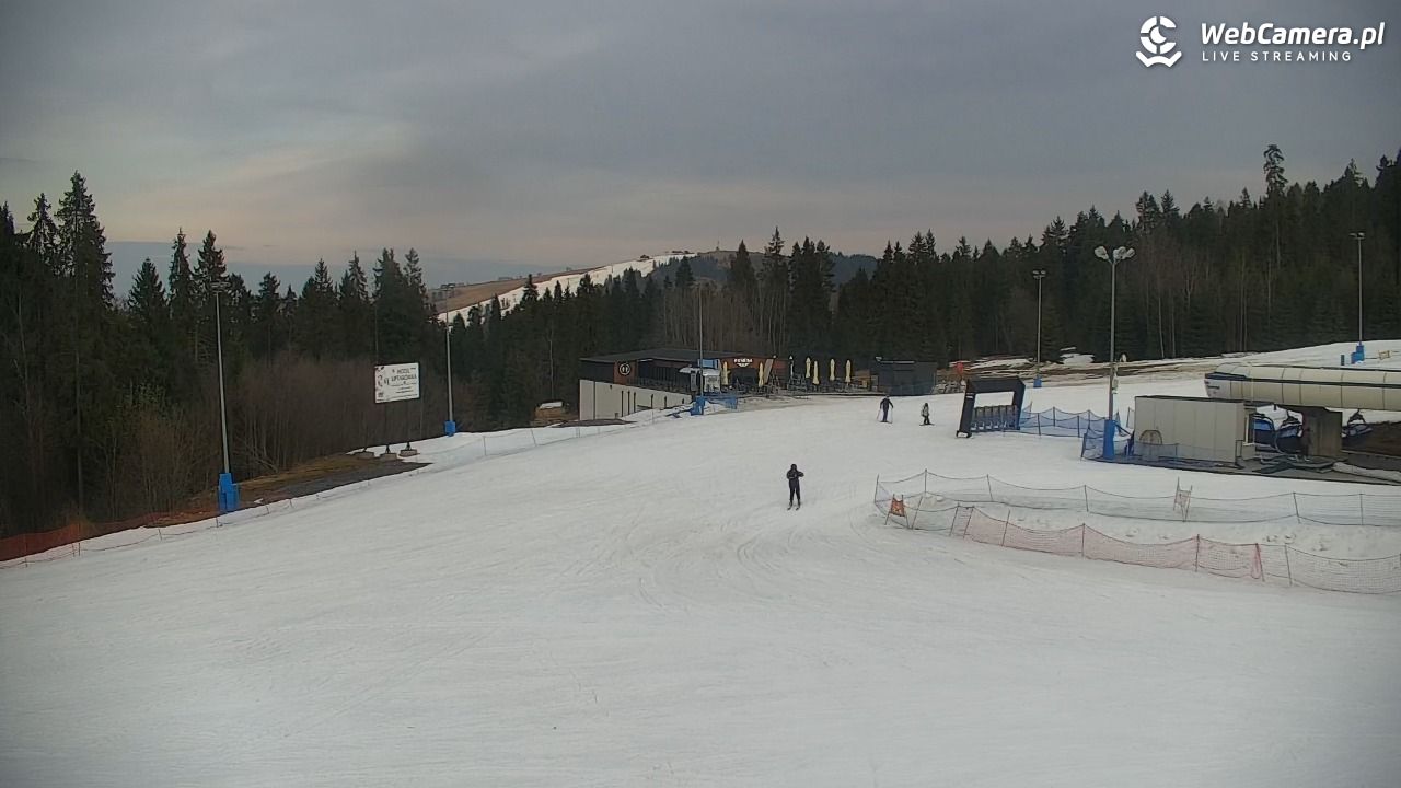 KOTELNICA - Pasieka Express - 20 marzec 2026, 16:56