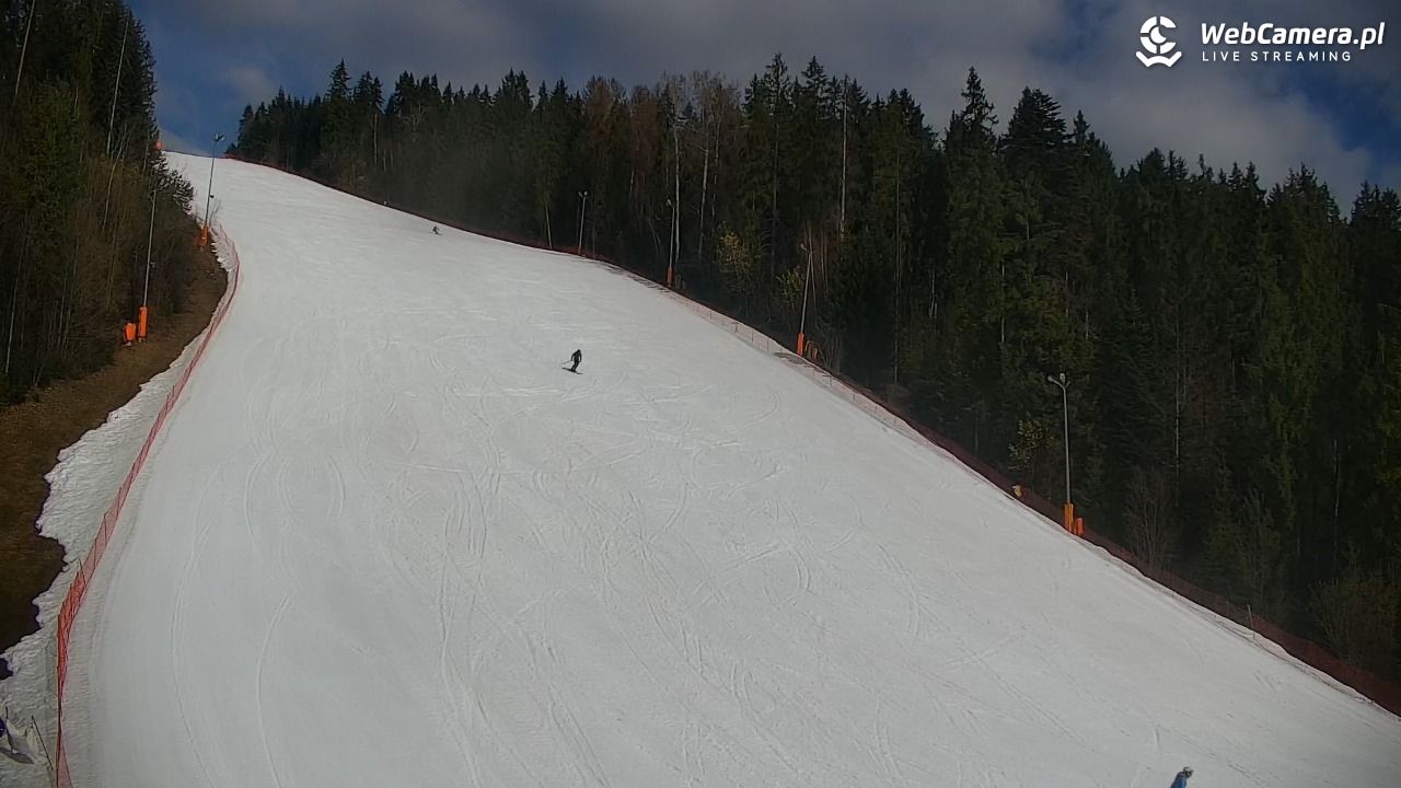 KOTELNICA - Pasieka Express - 19 marzec 2026, 09:31