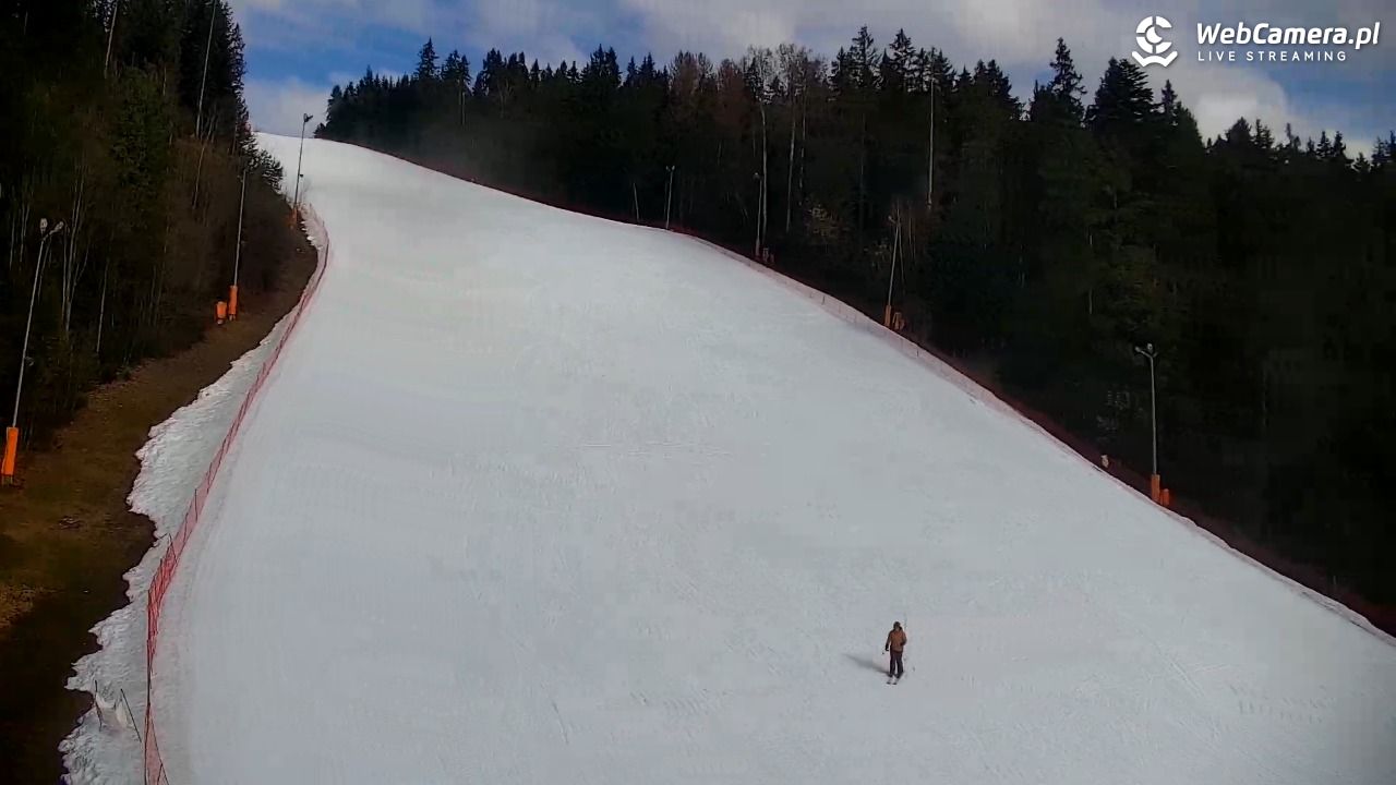 KOTELNICA - Pasieka Express - 19 marzec 2026, 09:17