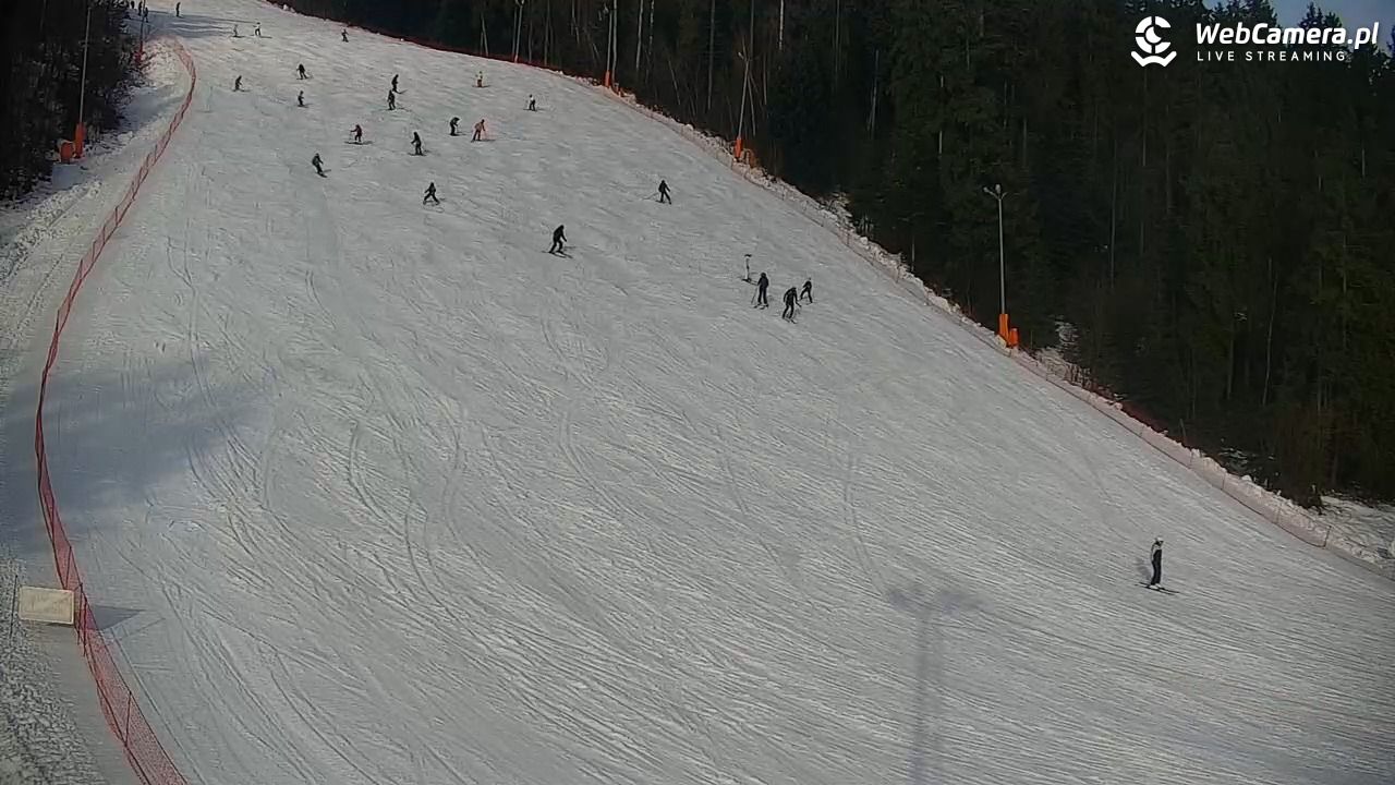 KOTELNICA - Pasieka Express - 07 grudzień 2025, 12:10