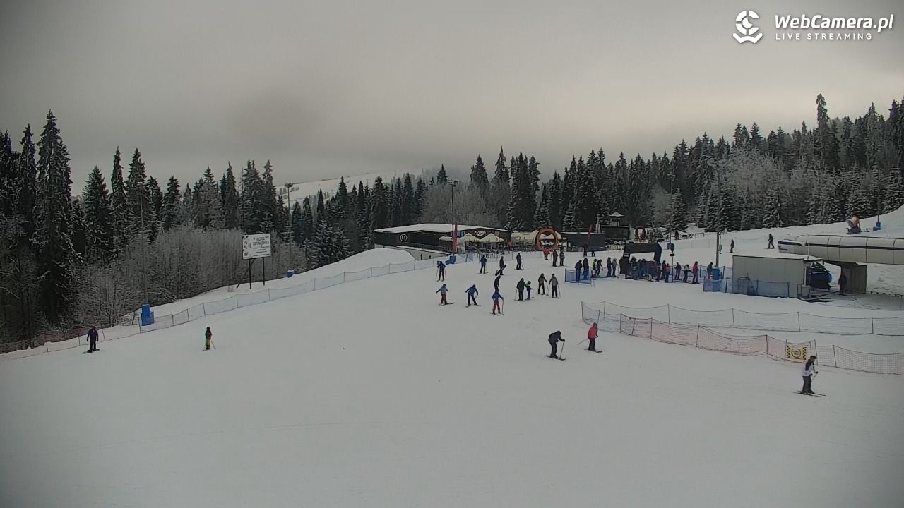 KOTELNICA - Pasieka Express - 02 luty 2026, 10:03