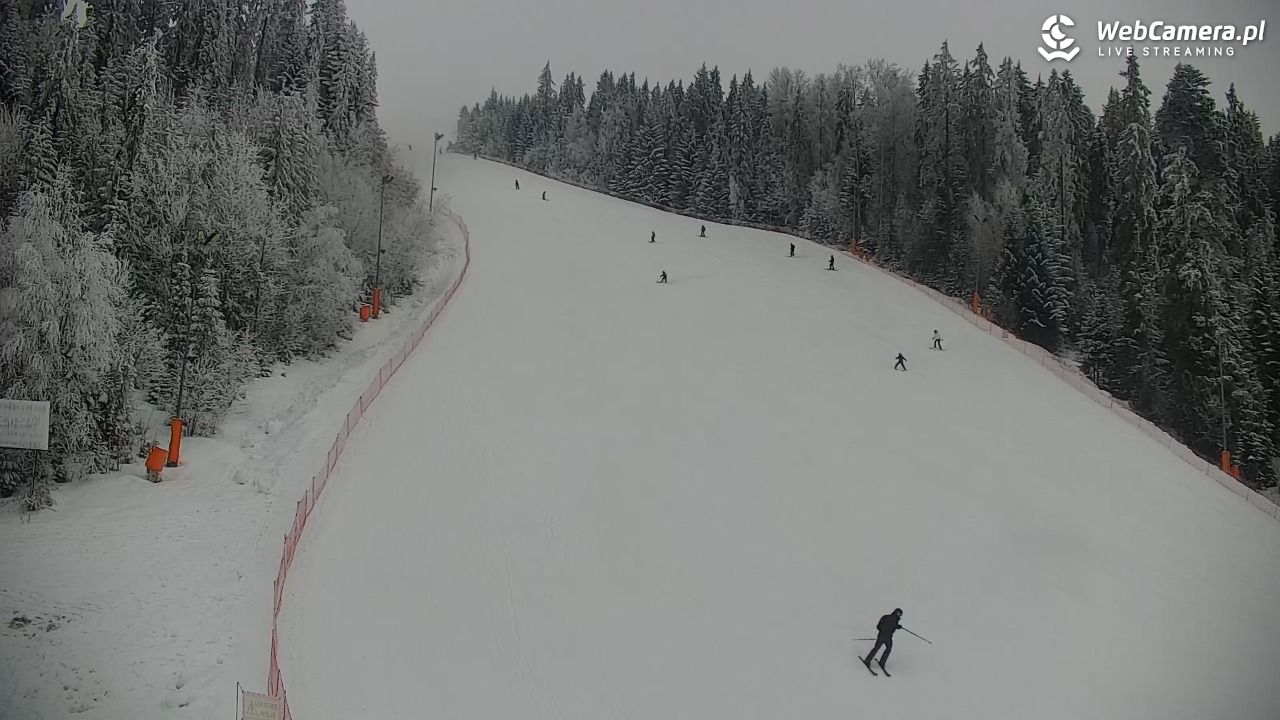 KOTELNICA - Pasieka Express - 01 luty 2026, 14:28