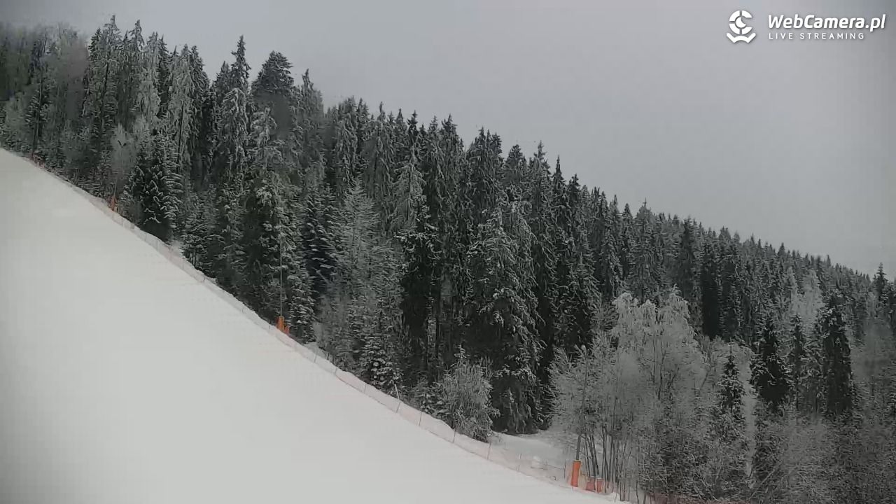 KOTELNICA - Pasieka Express - 01 luty 2026, 12:23