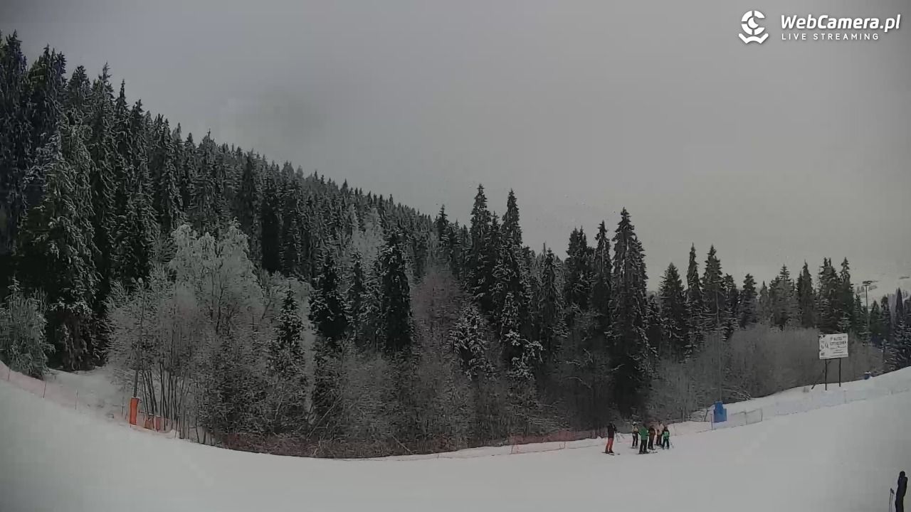 KOTELNICA - Pasieka Express - 01 luty 2026, 12:24