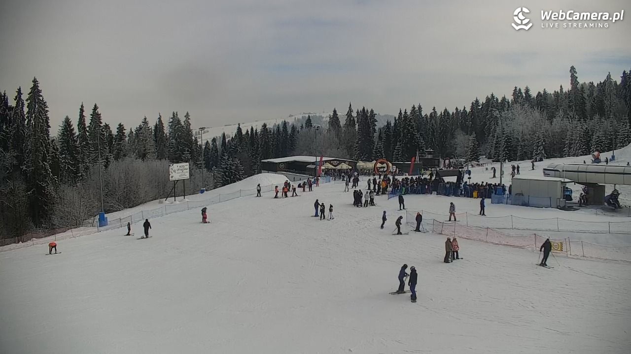 KOTELNICA - Pasieka Express - 01 luty 2026, 11:49