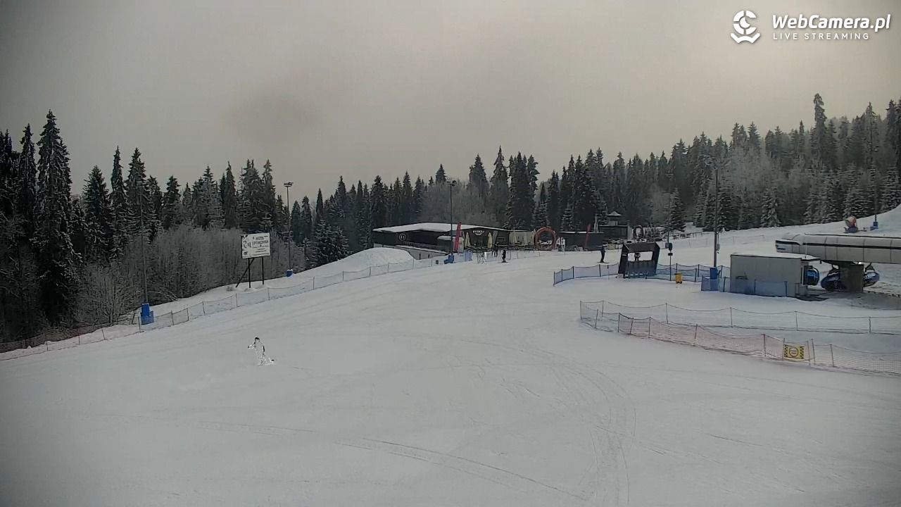 KOTELNICA - Pasieka Express - 01 luty 2026, 09:15