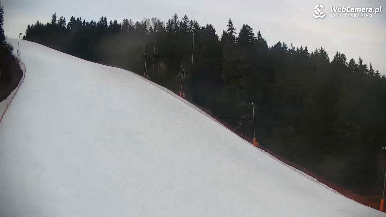 KOTELNICA - Pasieka Express - 20 marzec 2026, 17:15