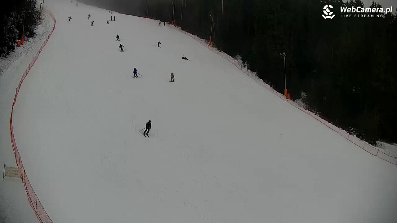 KOTELNICA - Pasieka Express - 07 grudzień 2025, 10:35