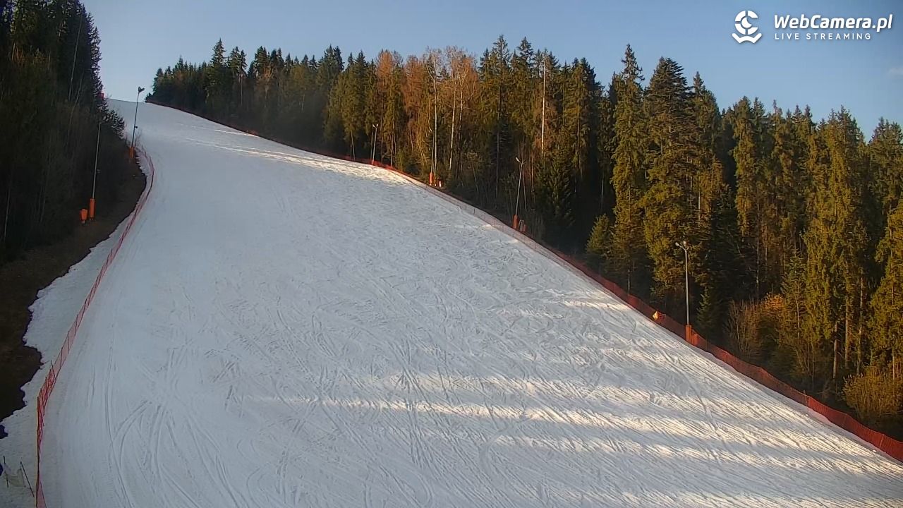 KOTELNICA - Pasieka Express - 18 marzec 2026, 16:13